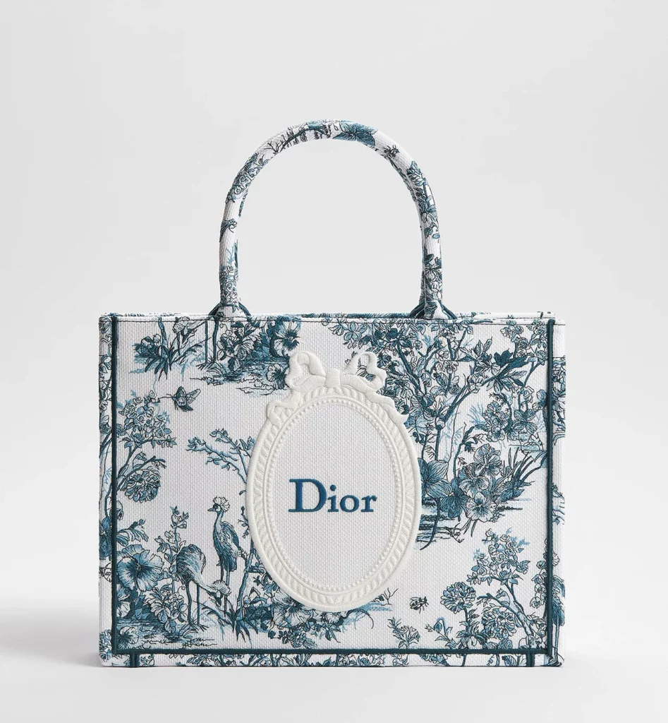 Dior Book Tote